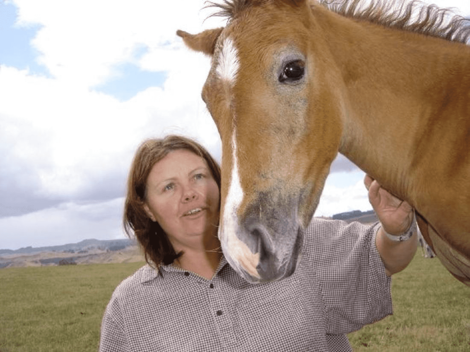 Jj from Warkworth, New Zealand
