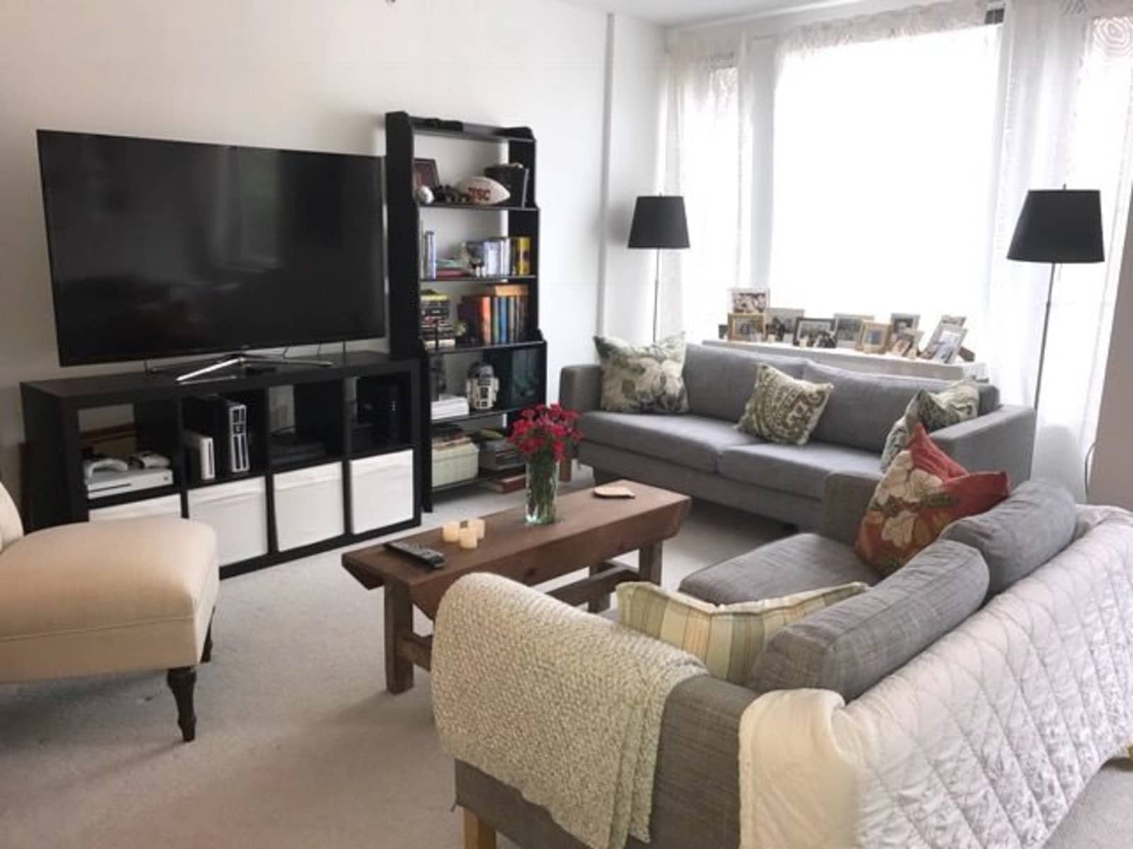 Housesitting assignment in Alexandria, Virginia, United States