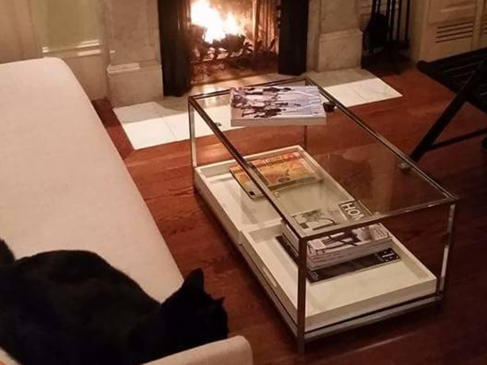 Housesitting assignment in Boston, Massachusetts, United States