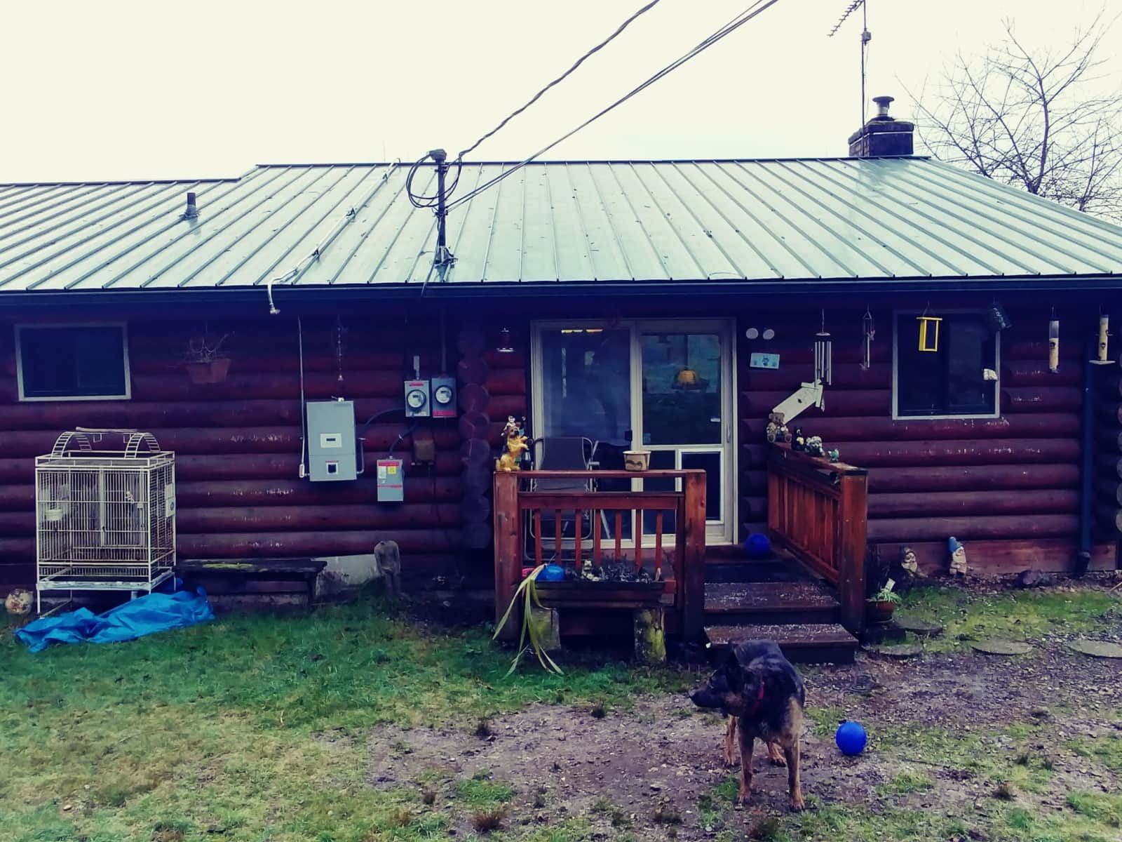 Housesitting assignment in Snohomish, Washington, United States