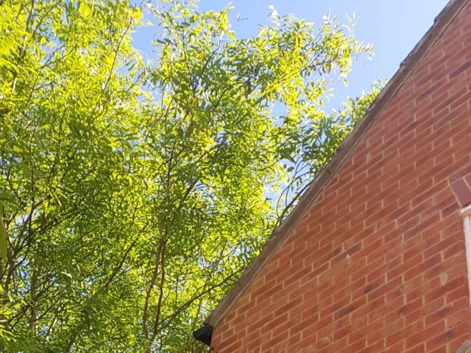 Housesitting assignment in Prudhoe, United Kingdom