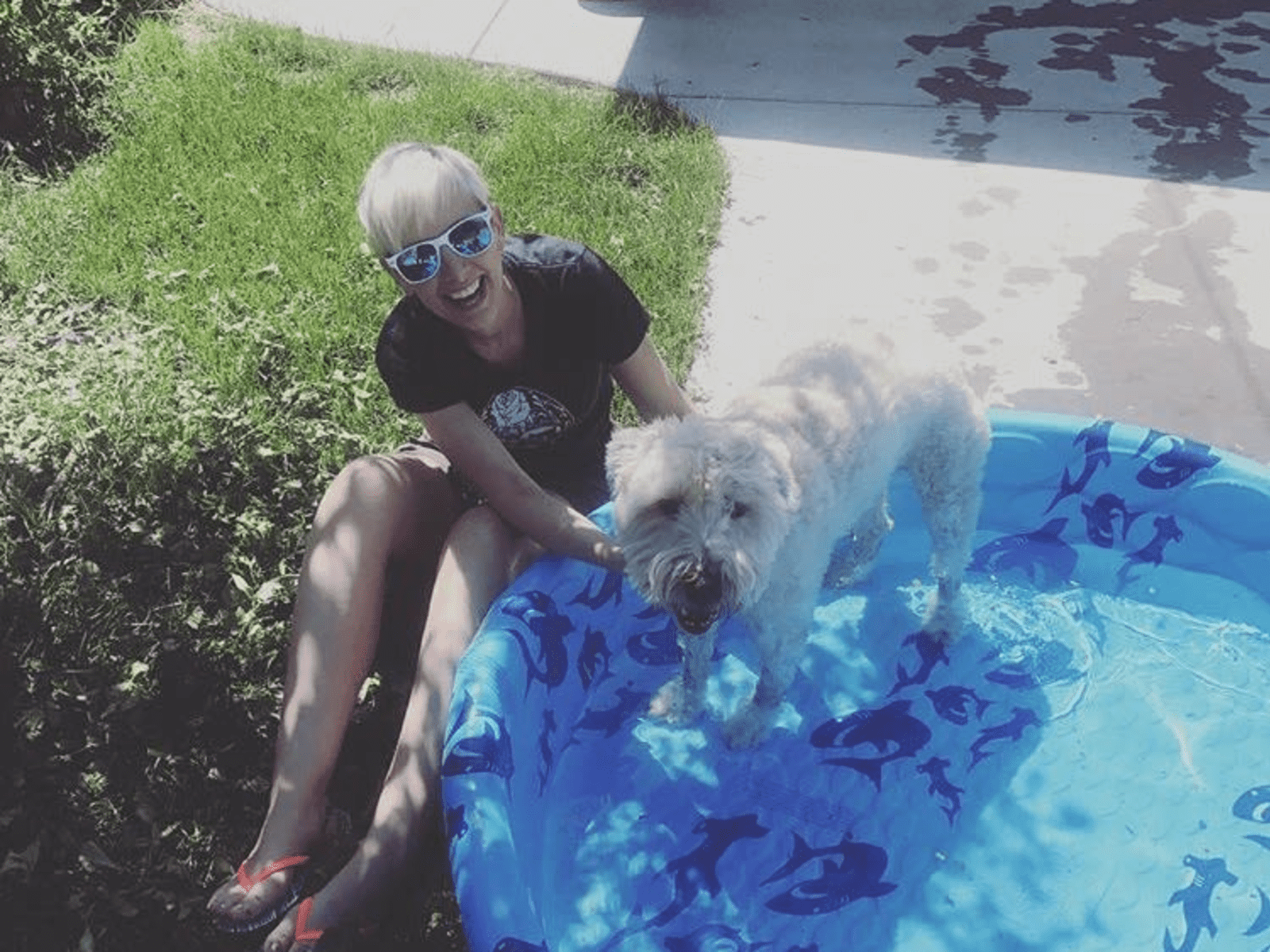 Housesitting assignment in Denver, Colorado, United States