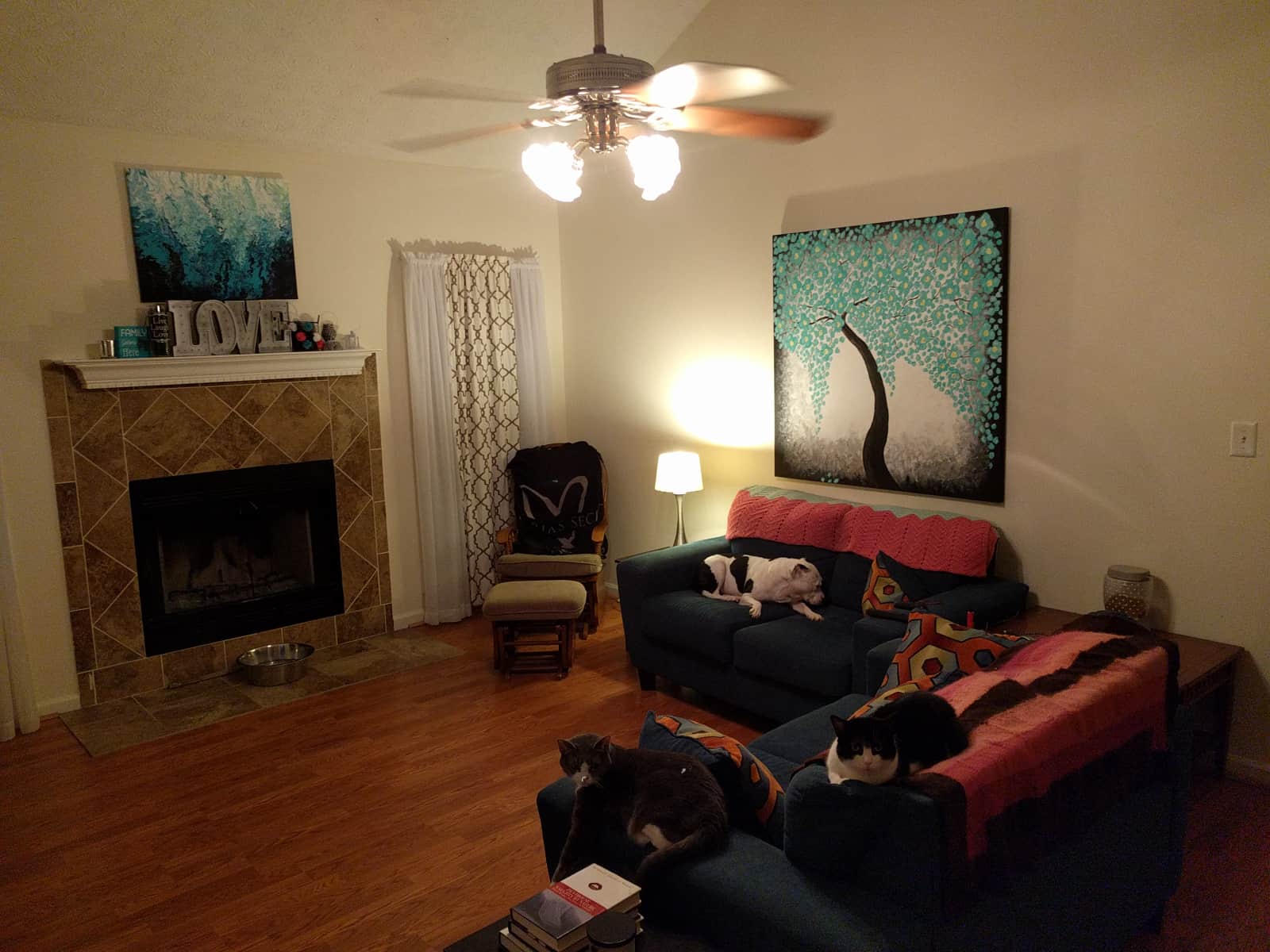 Housesitting assignment in Stockbridge, Georgia, United States