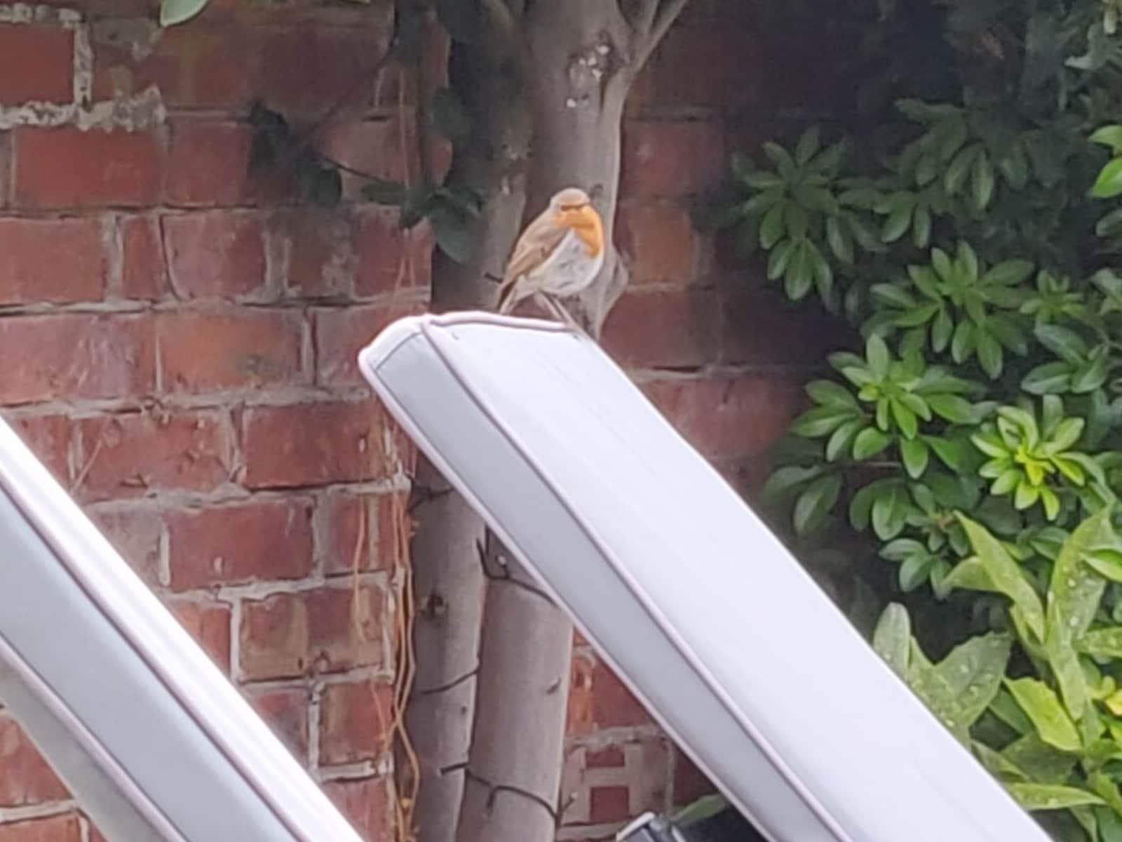 Housesitting assignment in Lytham, United Kingdom