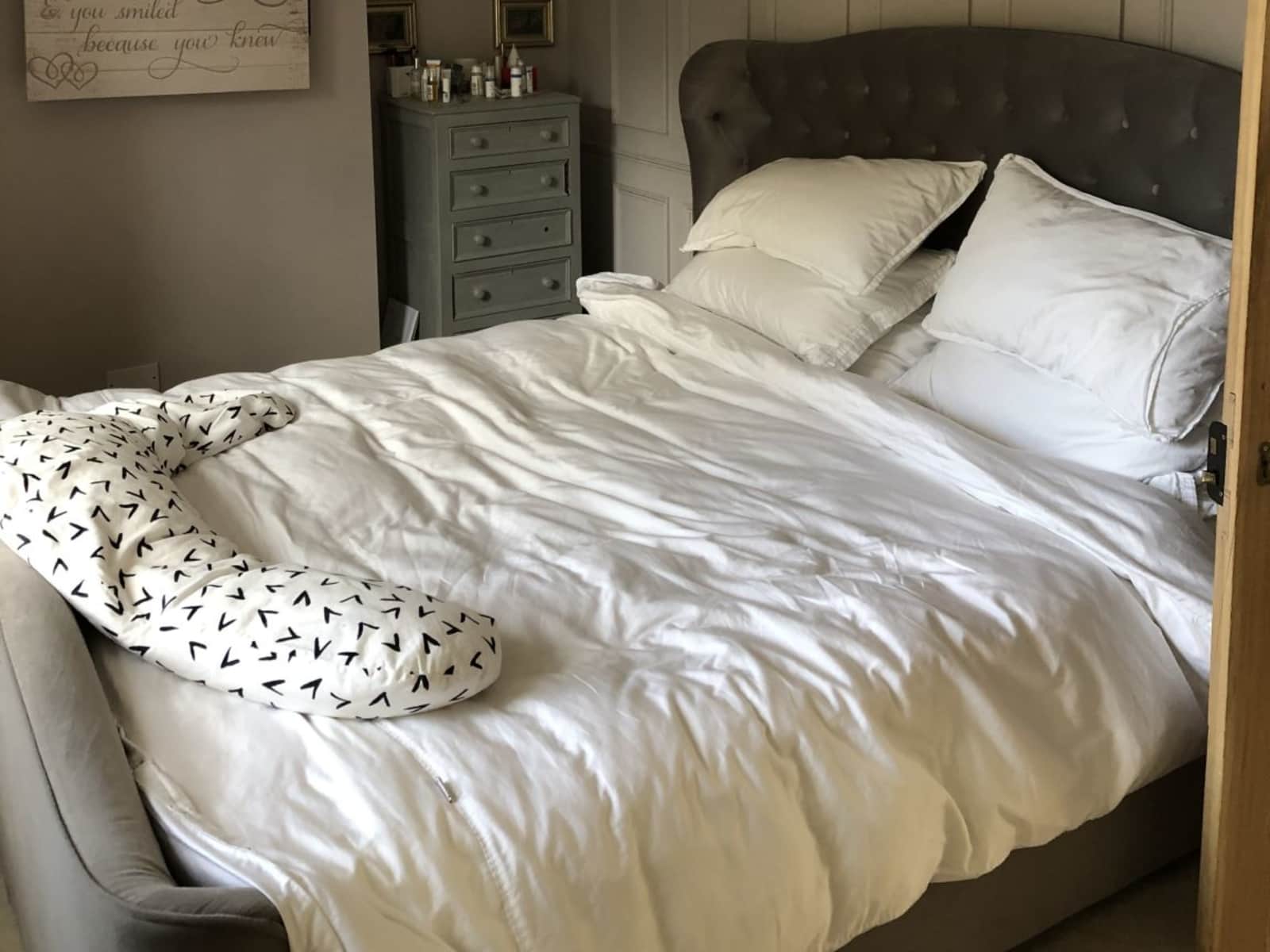 Housesitting assignment in Newton Abbot, United Kingdom
