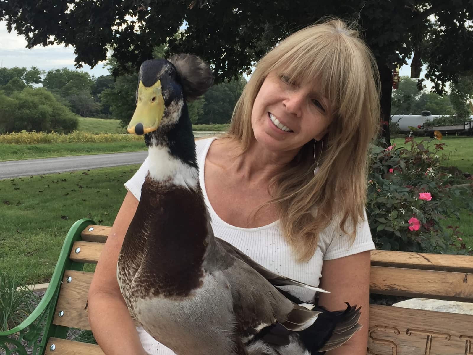 Lisa from Rushville, Illinois, United States