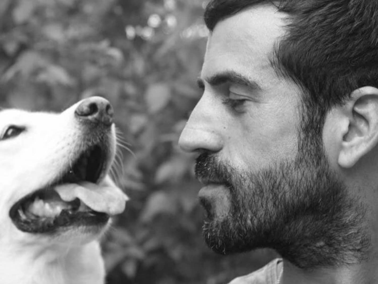 Roy from San Clemente, California, United States