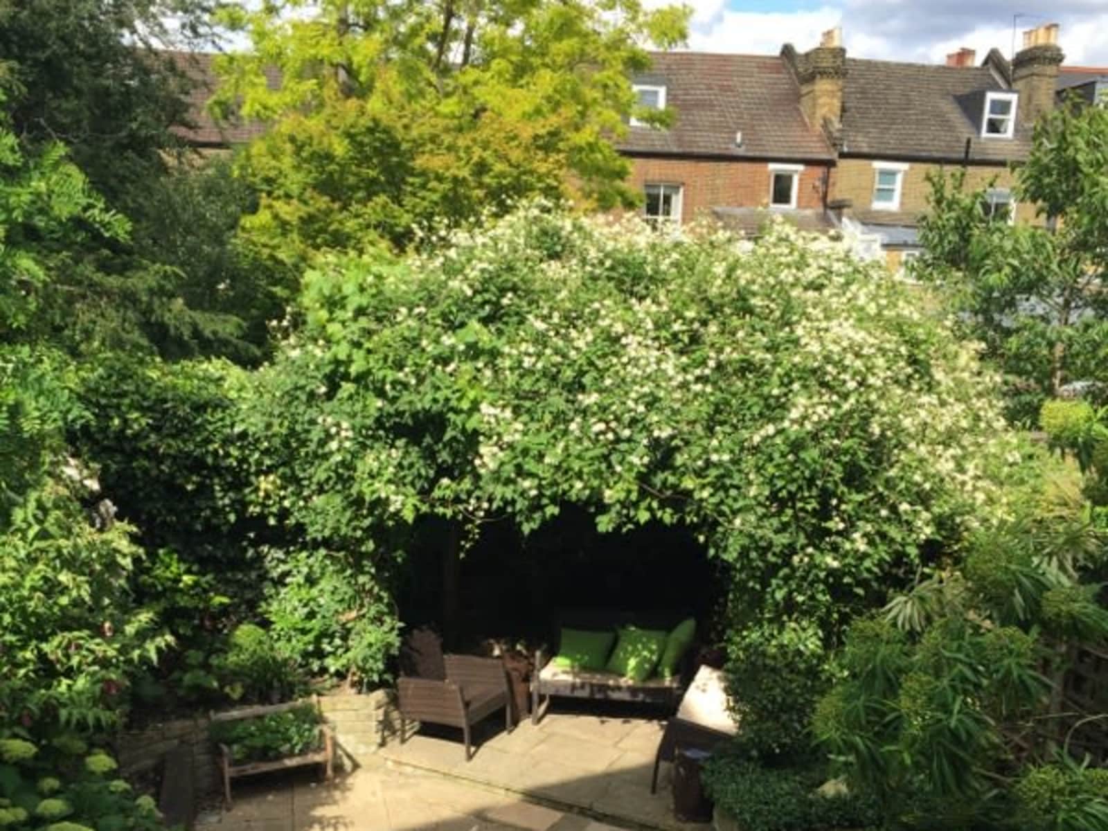 Housesitting assignment in London, United Kingdom