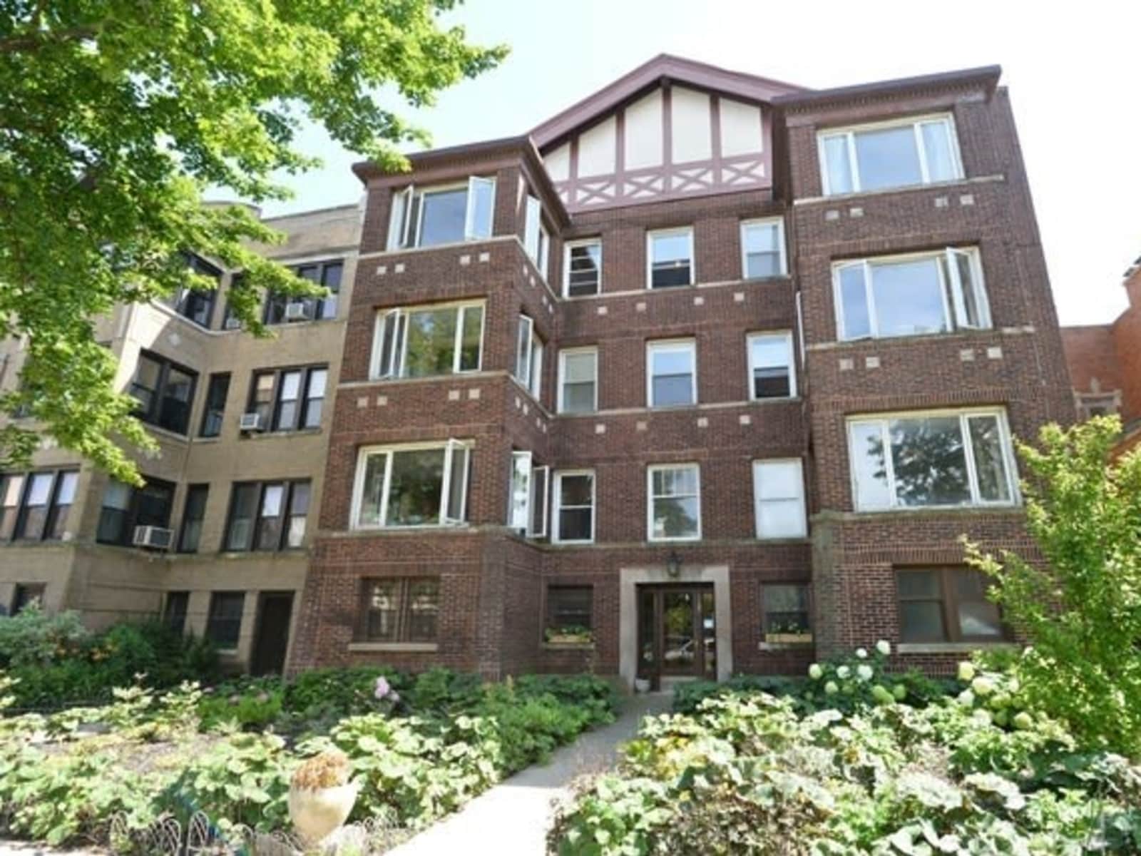 Housesitting assignment in Chicago, Illinois, United States