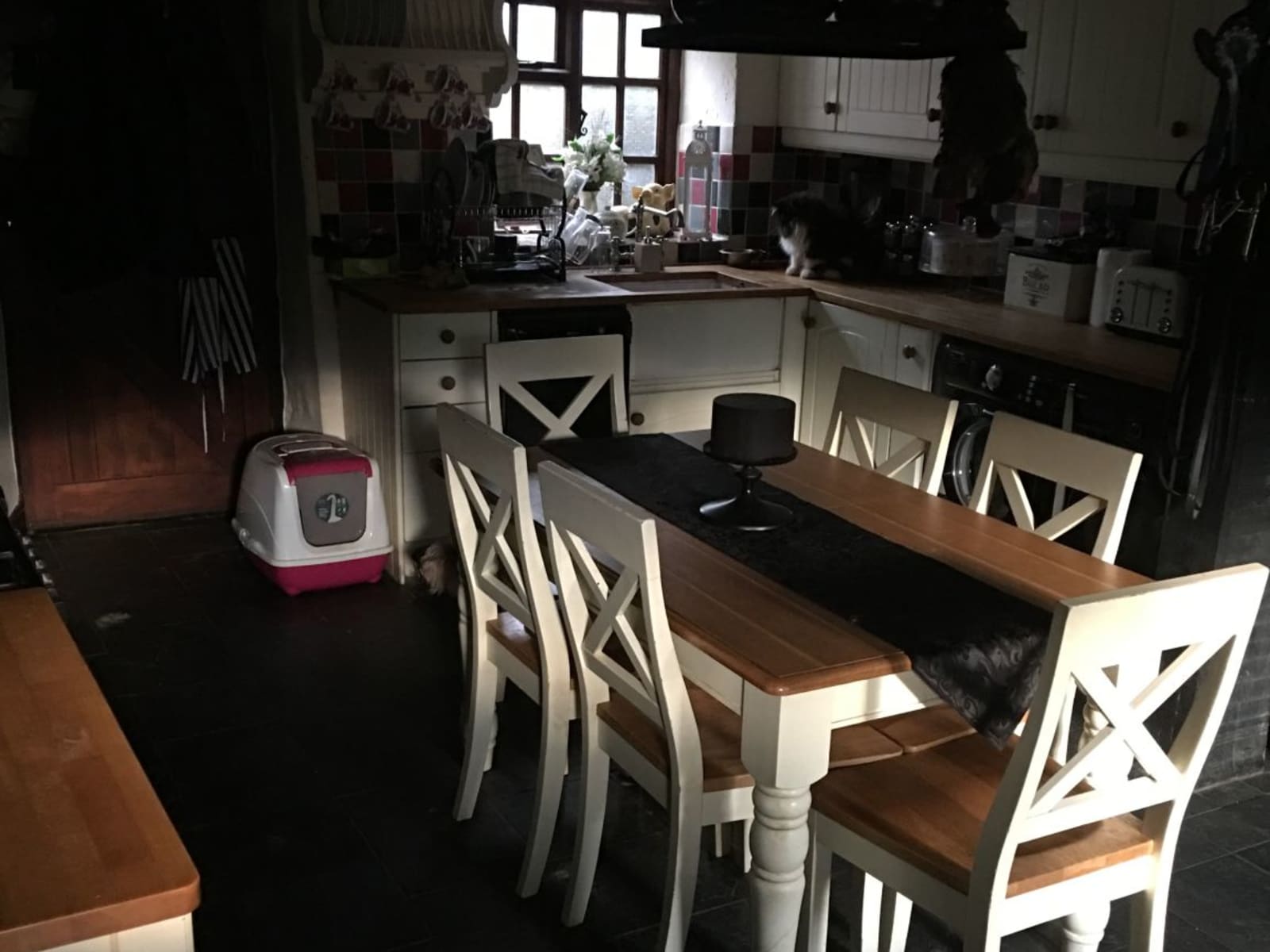 Housesitting assignment in Northampton, United Kingdom