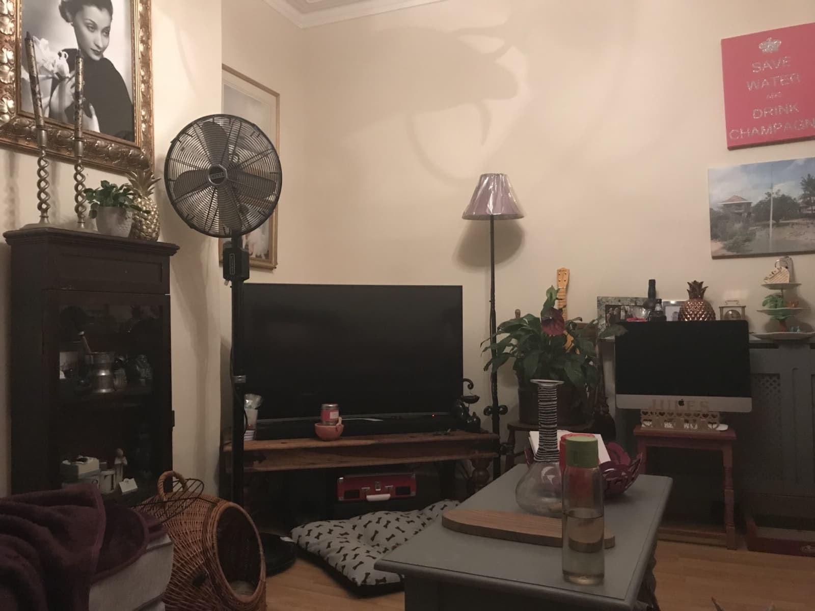 Housesitting assignment in Southsea, United Kingdom