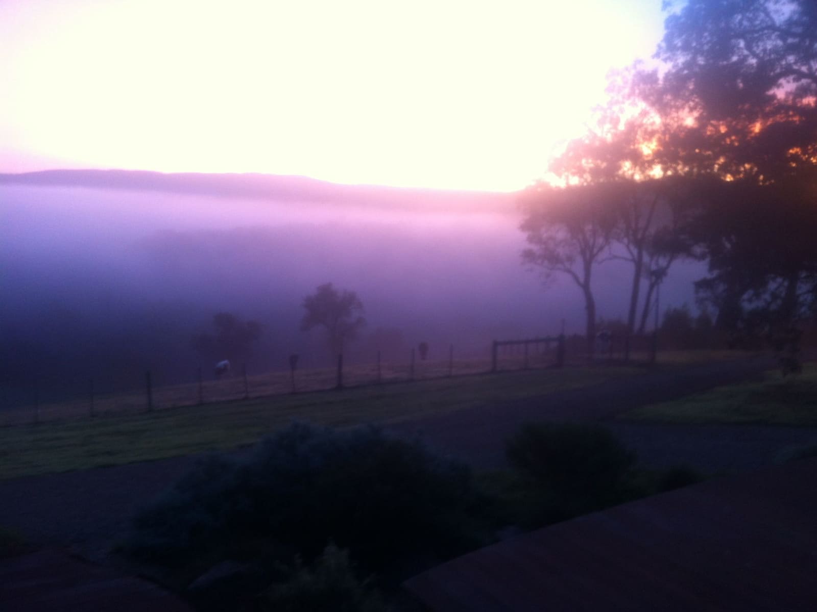 Housesitting assignment in Smiths Gully, Victoria, Australia