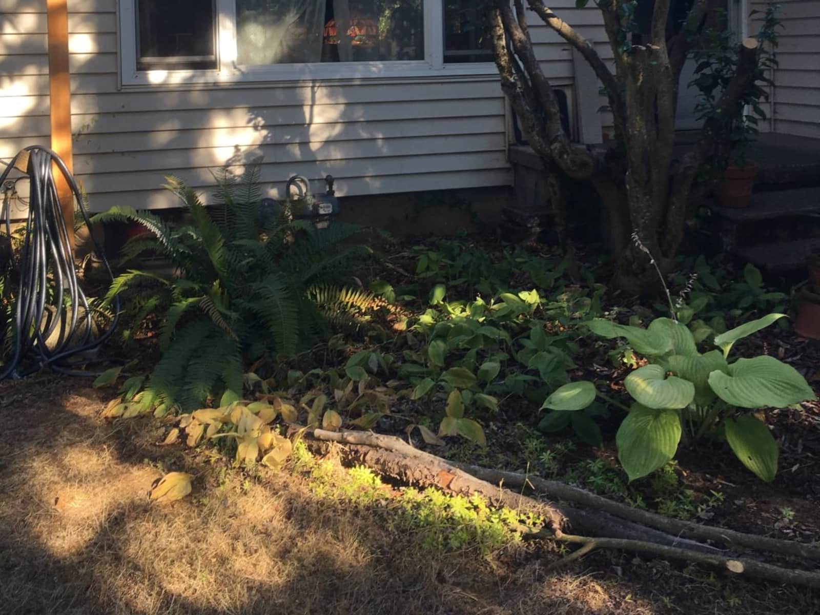 Housesitting assignment in Portland, Oregon, United States