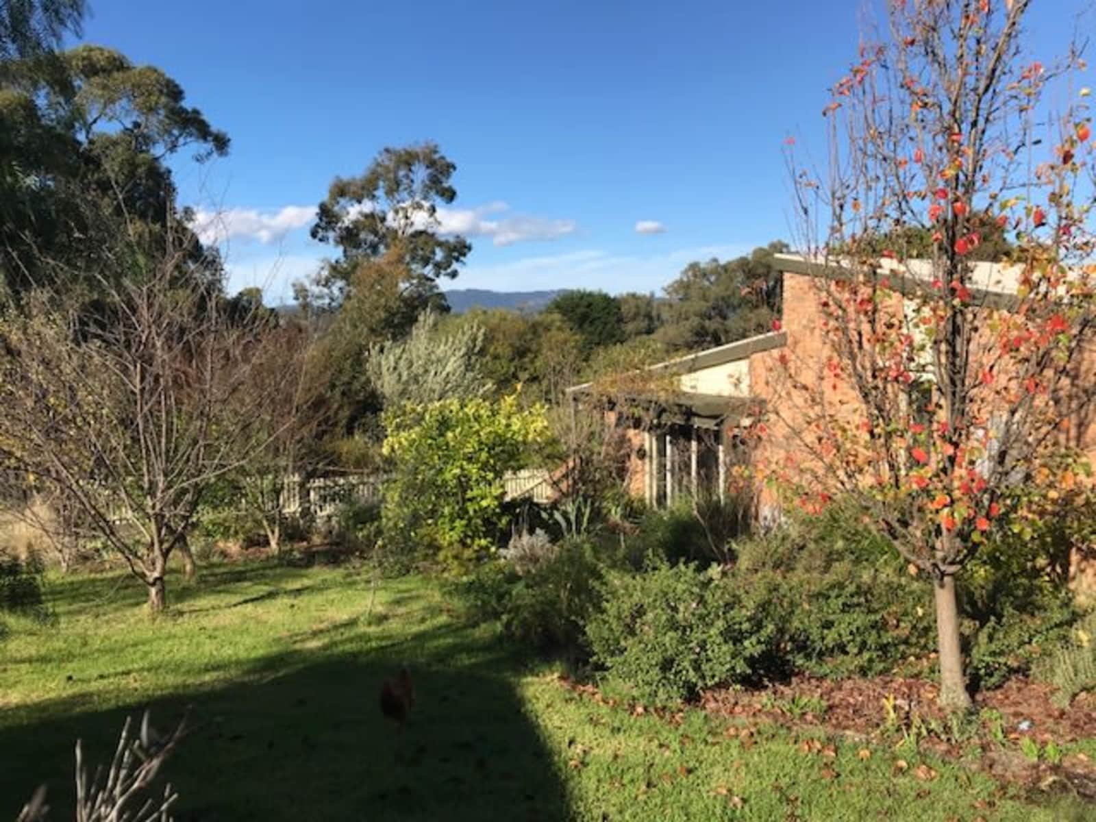Housesitting assignment in Ringwood, Victoria, Australia