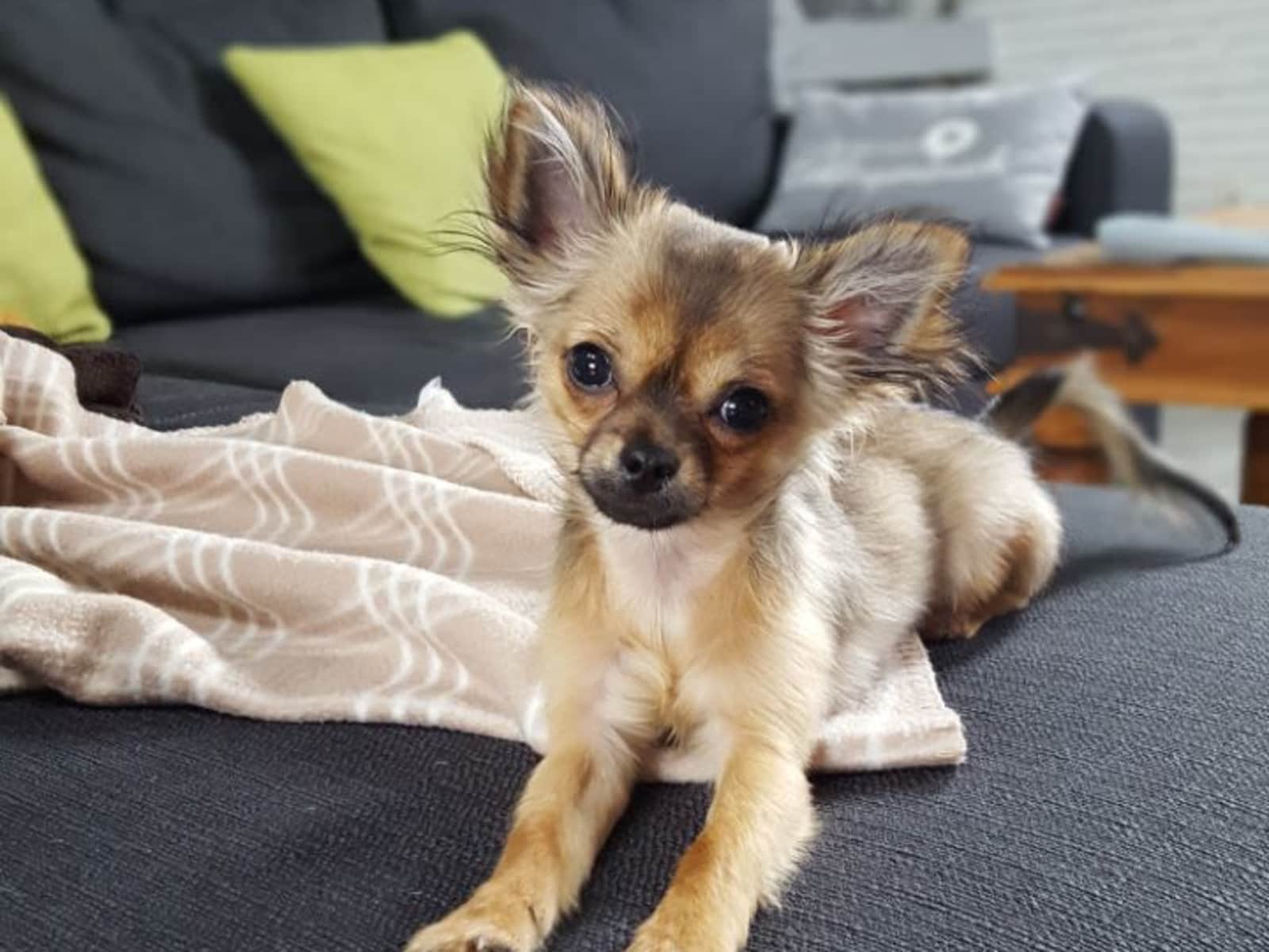 Ellen from Wiesbaden, Germany