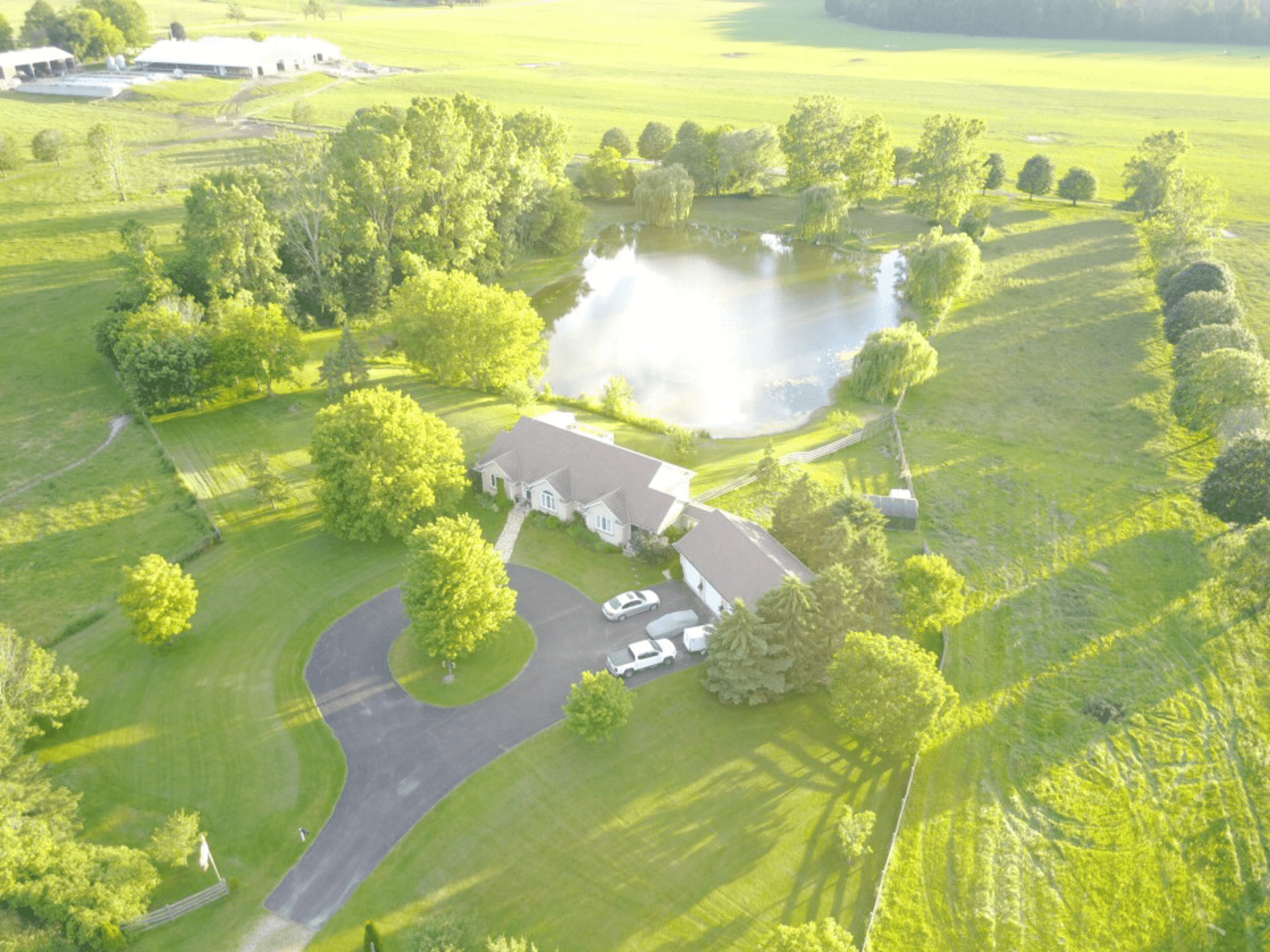 Housesitting assignment in Tillsonburg, Ontario, Canada