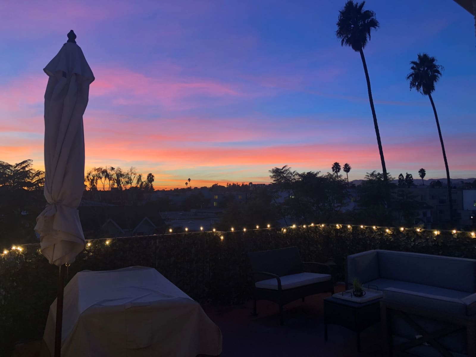 Housesitting assignment in Los Angeles, California, United States