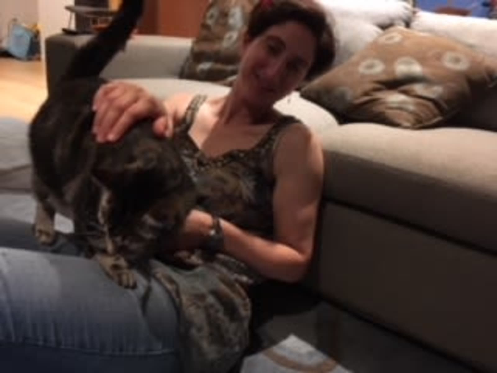 Anna from Brunswick, Maine, United States