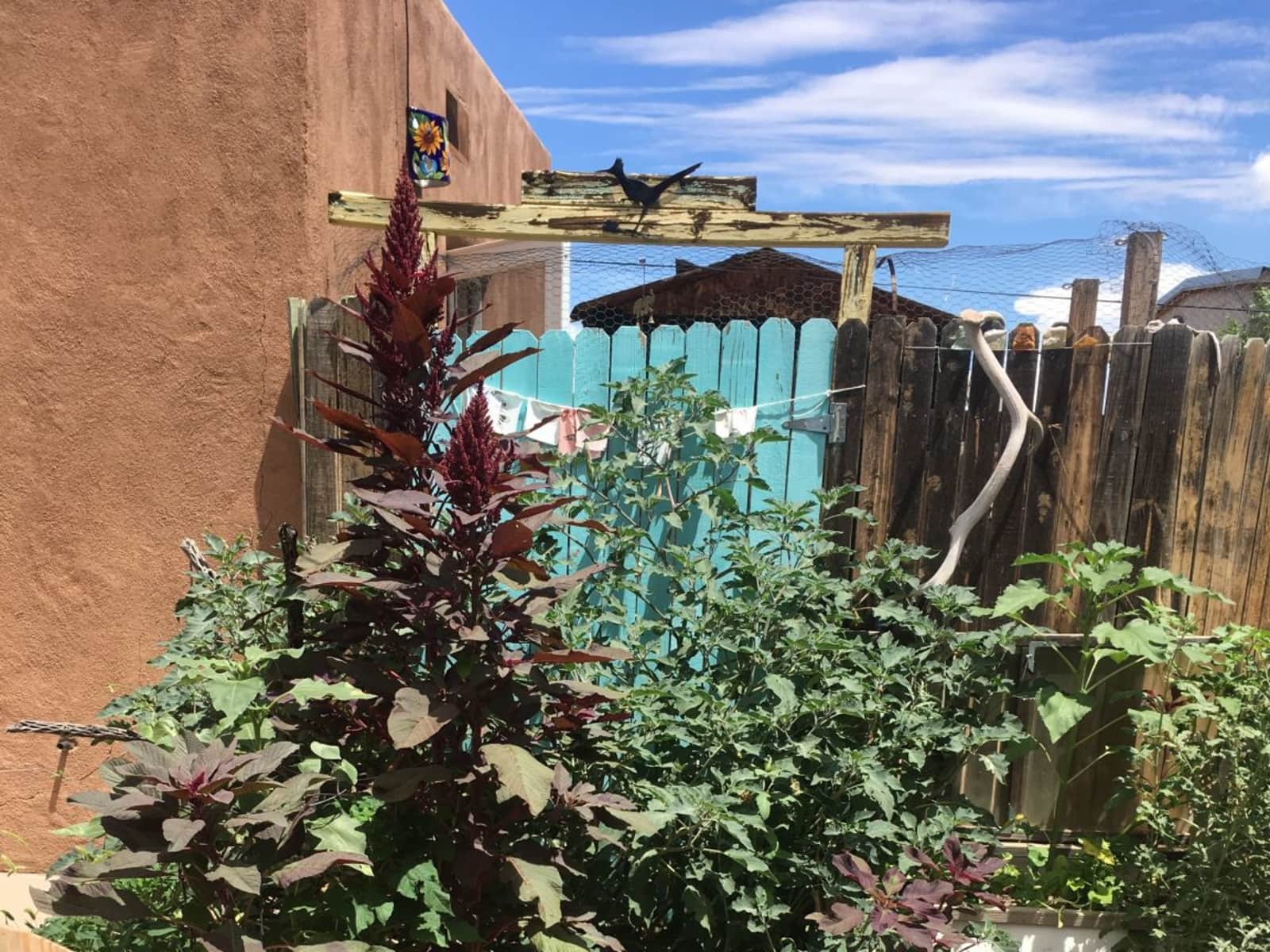 Housesitting assignment in Albuquerque, New Mexico, United States