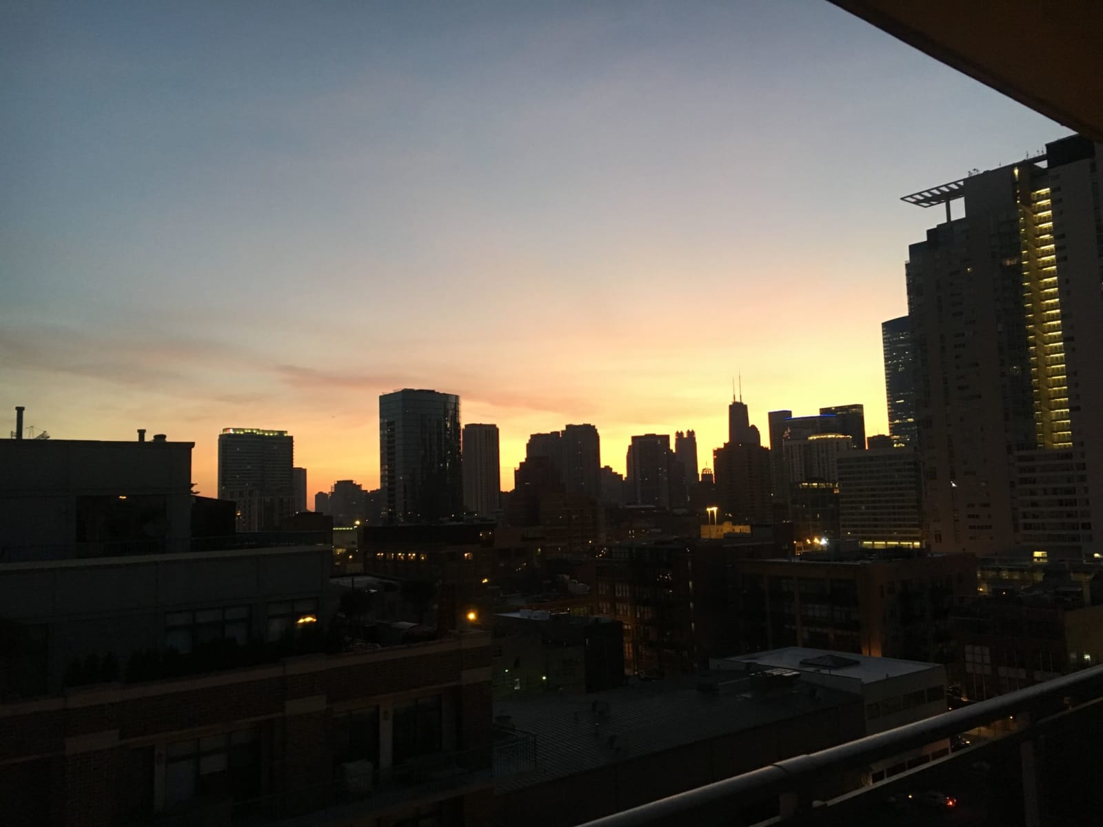 Housesitting assignment in Chicago, Illinois, United States