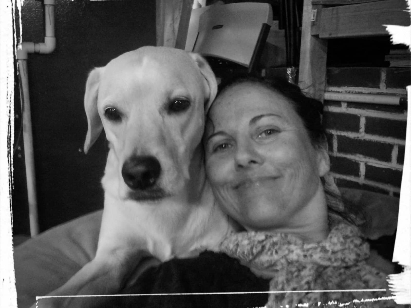 Monica from Golden, Colorado, United States
