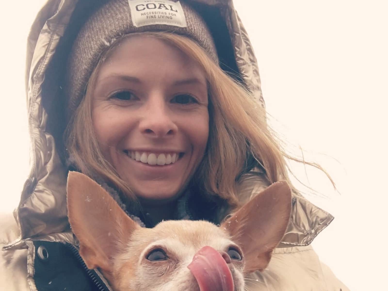 Anne from San Marcos, California, United States