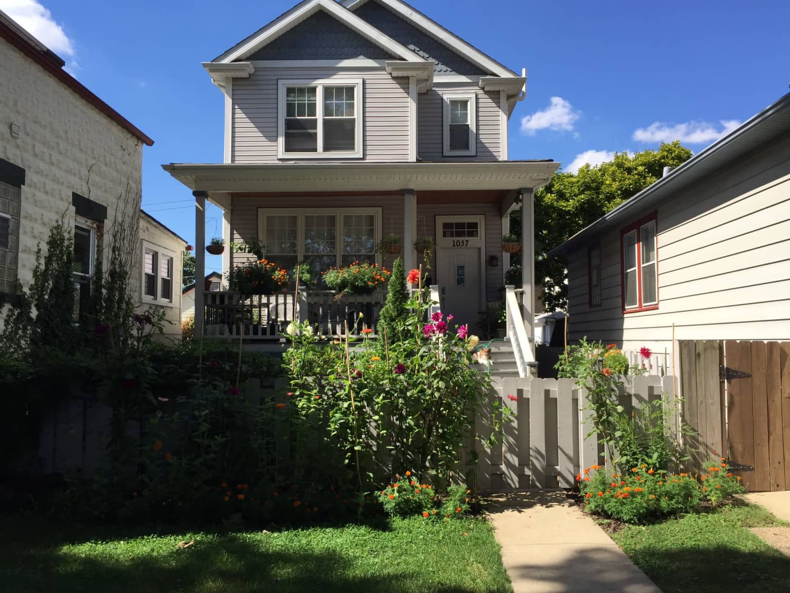 Housesitting assignment in Forest Park, Illinois, United States