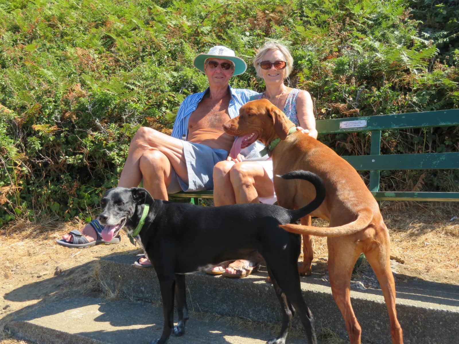 Heather & Christopher from Belbroughton, United Kingdom