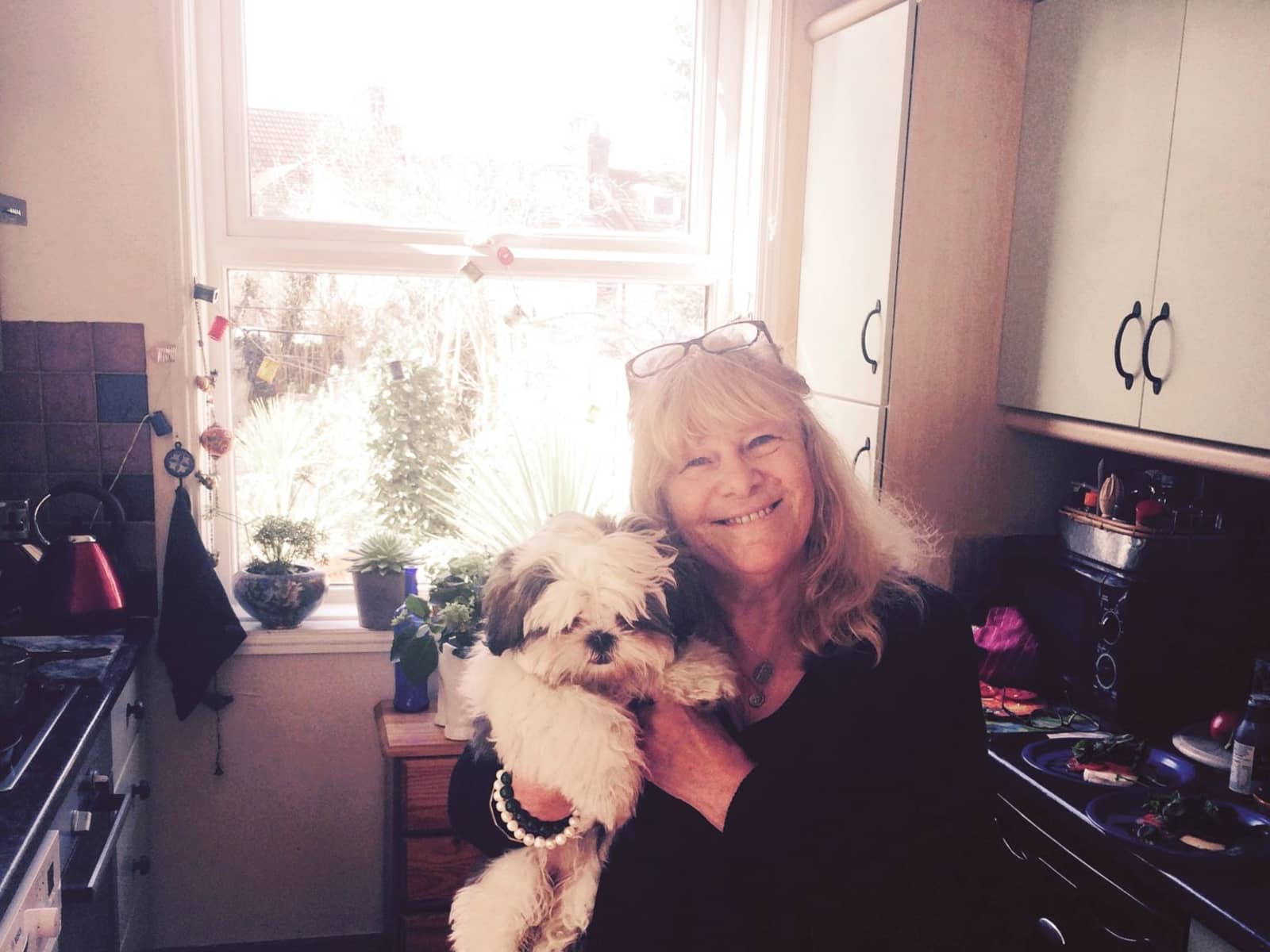 Housesitting assignment in Maidstone, United Kingdom
