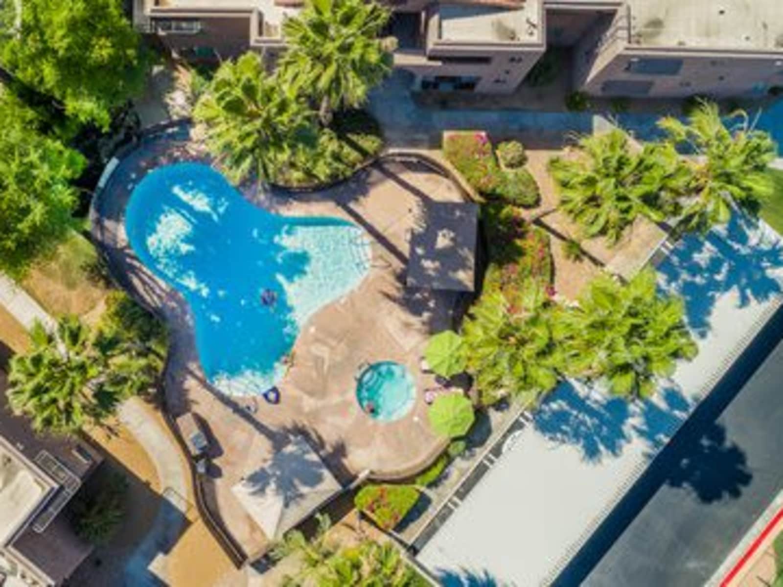 Housesitting assignment in Palm Springs, California, United States