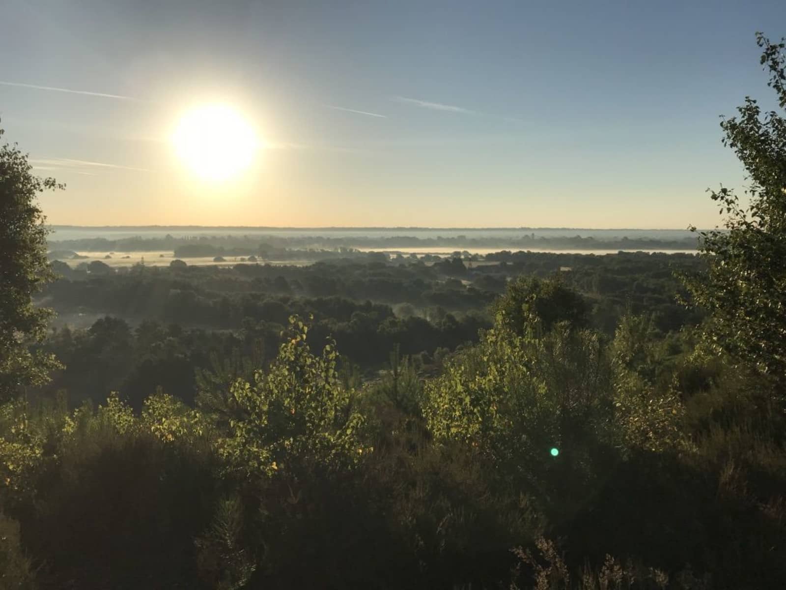 Housesitting assignment in Christchurch, United Kingdom