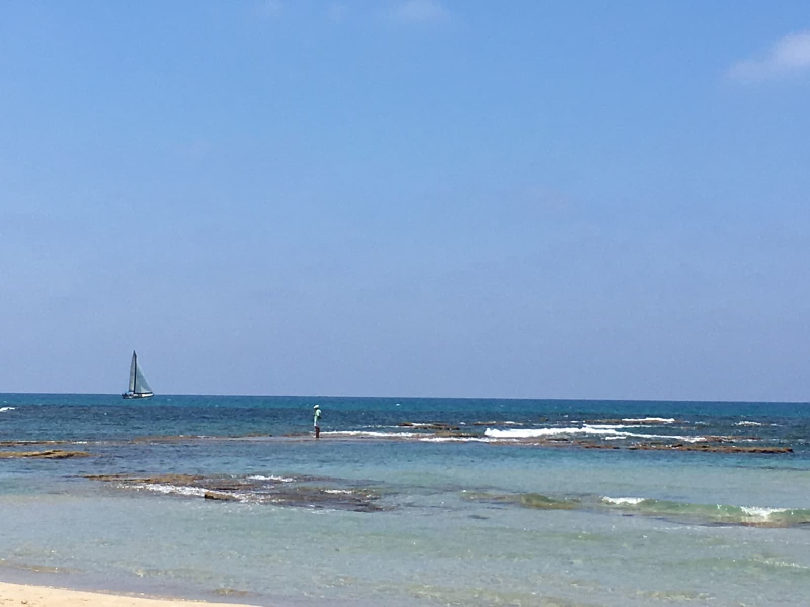 Housesitting assignment in Netanya, Israel