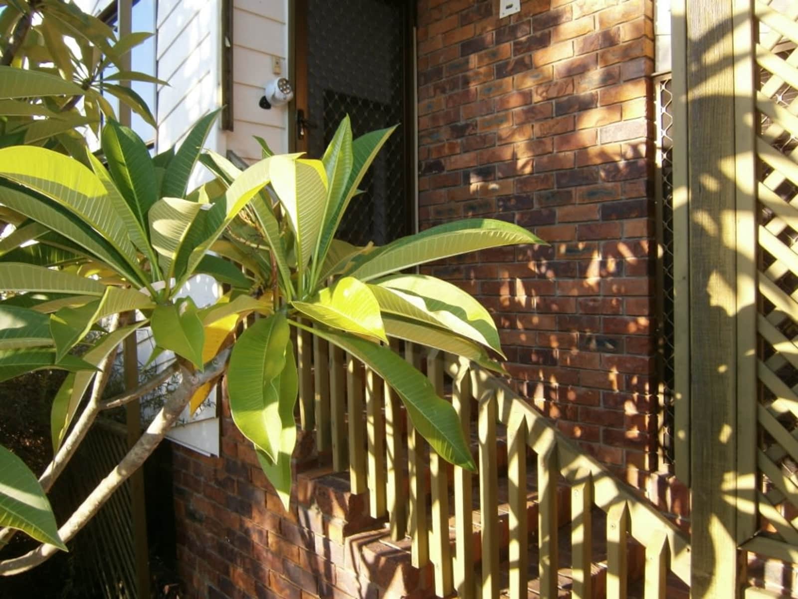 Housesitting assignment in Brisbane, Queensland, Australia