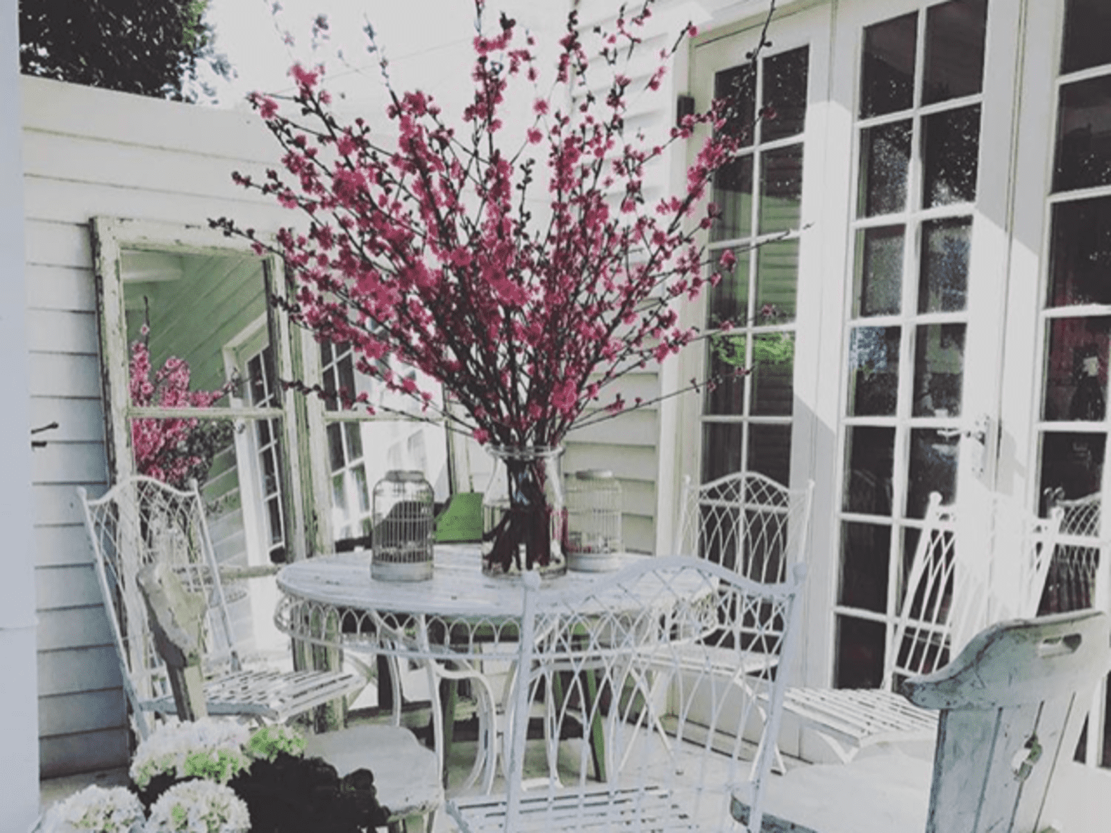 Housesitting assignment in Southfields, United Kingdom