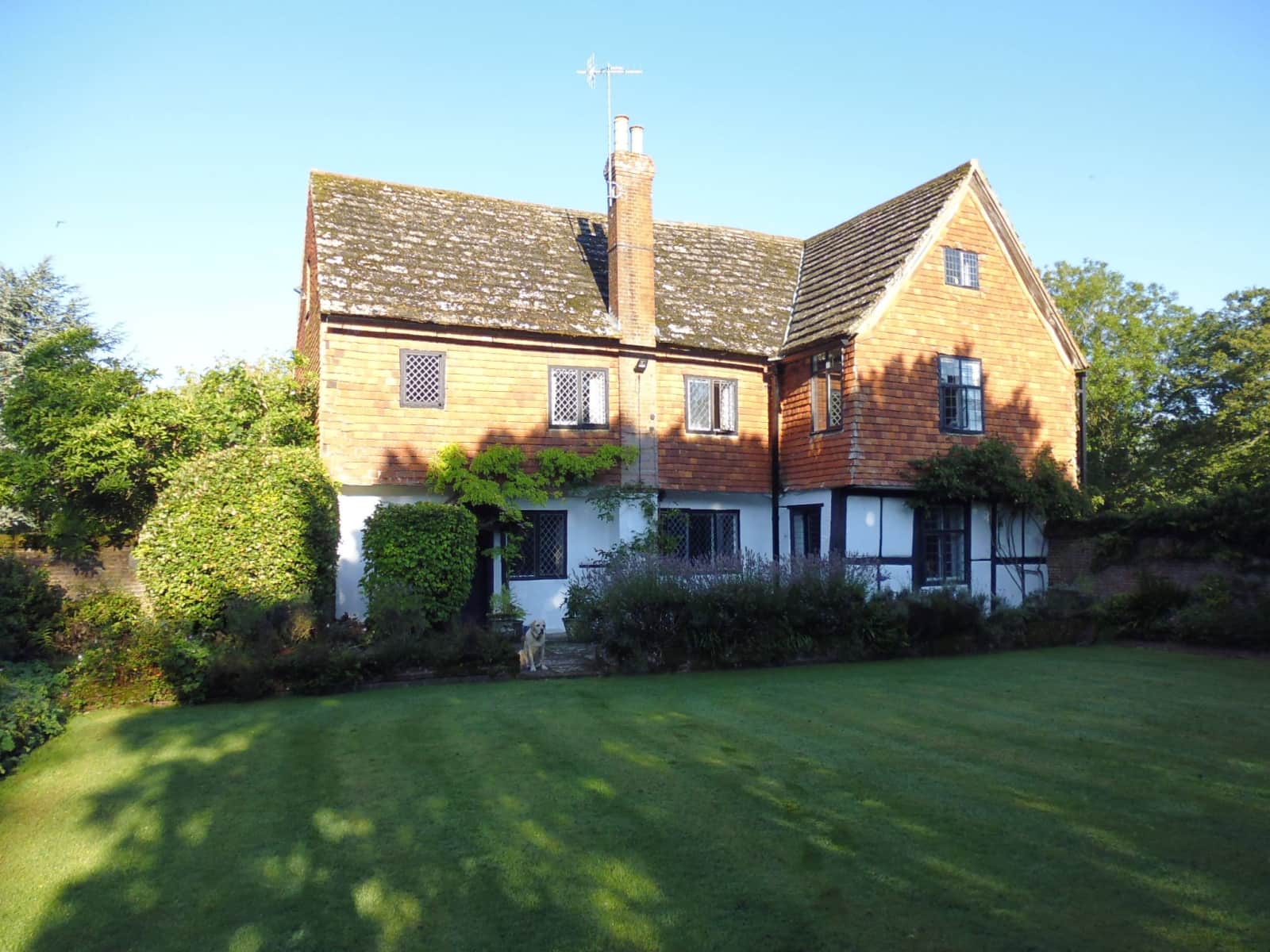 Housesitting assignment in Dorking, United Kingdom