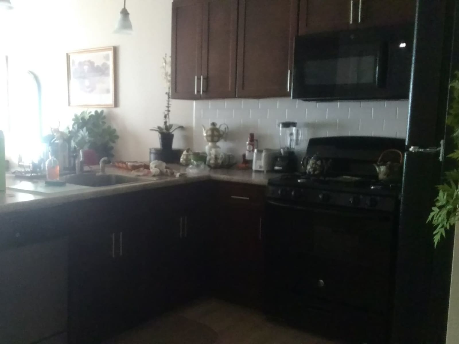 Housesitting assignment in New Canaan, Connecticut, United States
