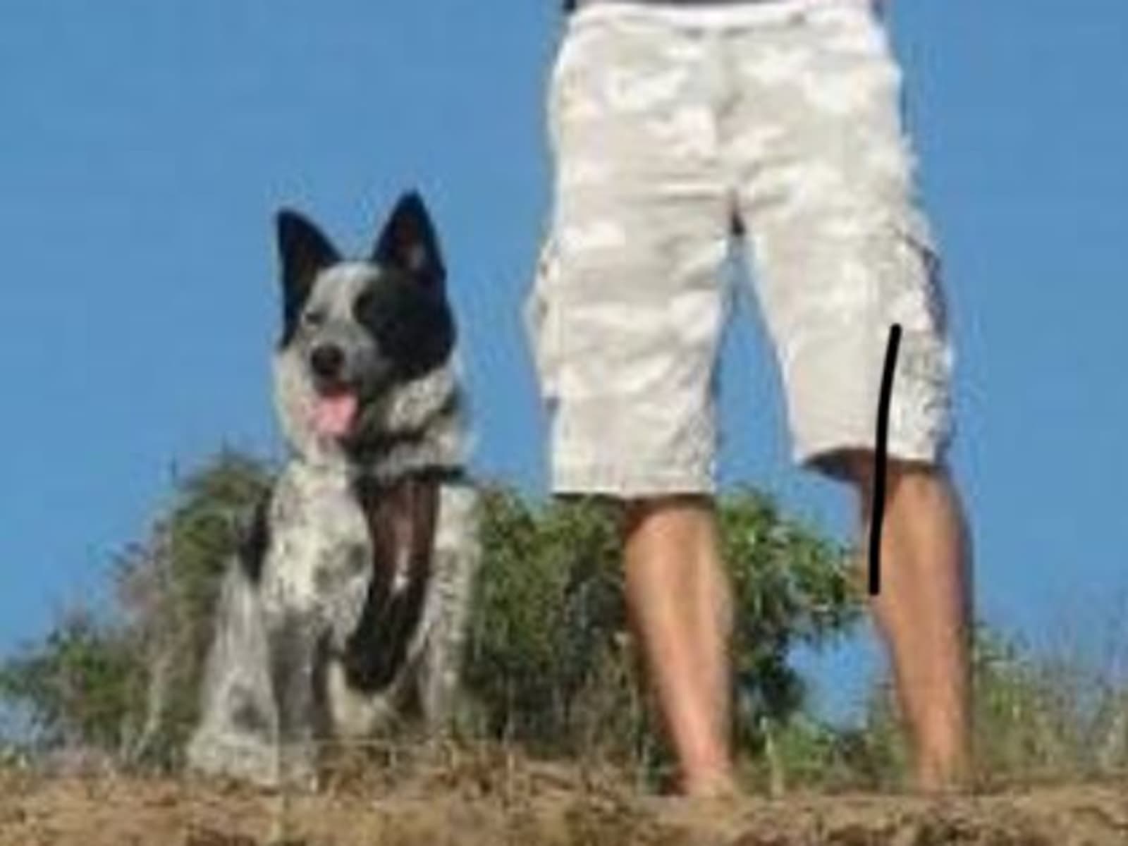 Mark from Brisbane, Queensland, Australia
