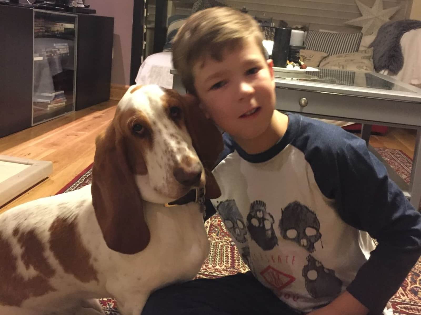Housesitting assignment in Balgriffin, Ireland
