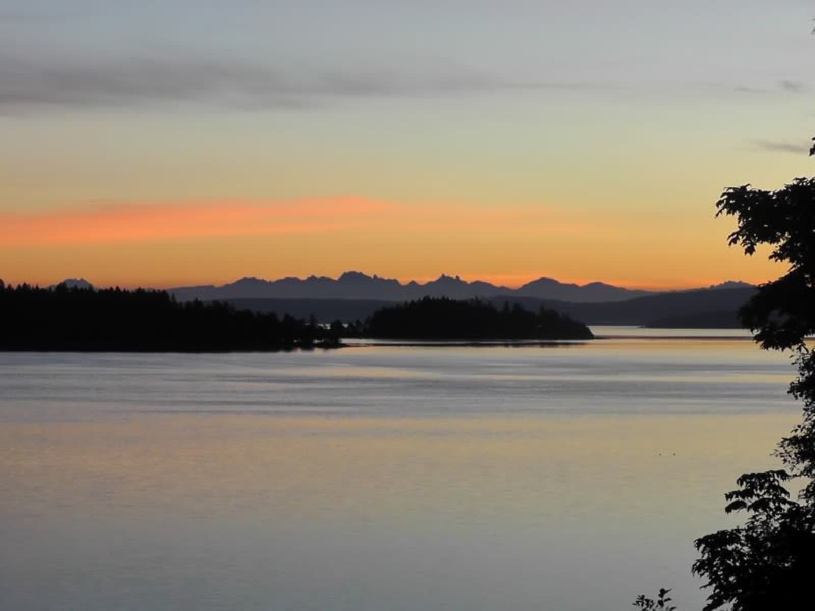 Housesitting assignment in Ladysmith, British Columbia, Canada