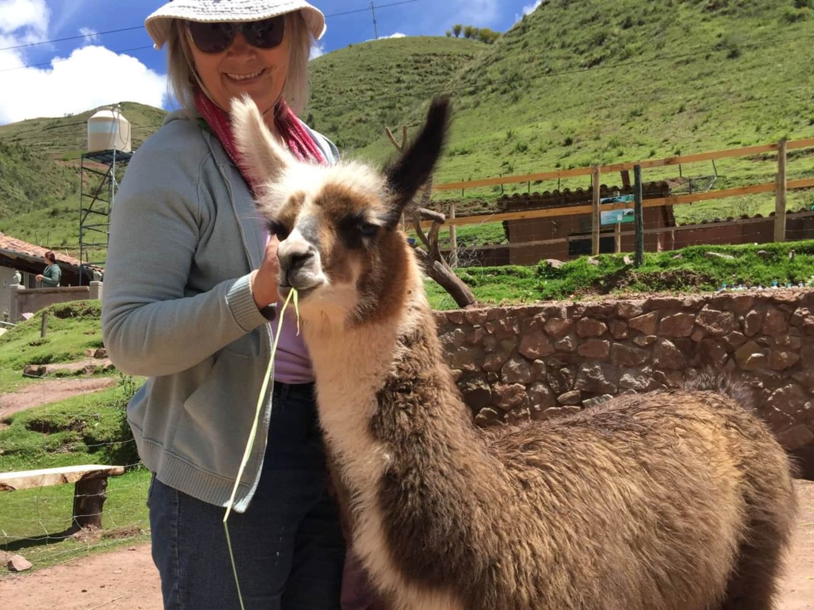 Linda from Albuquerque, New Mexico, United States