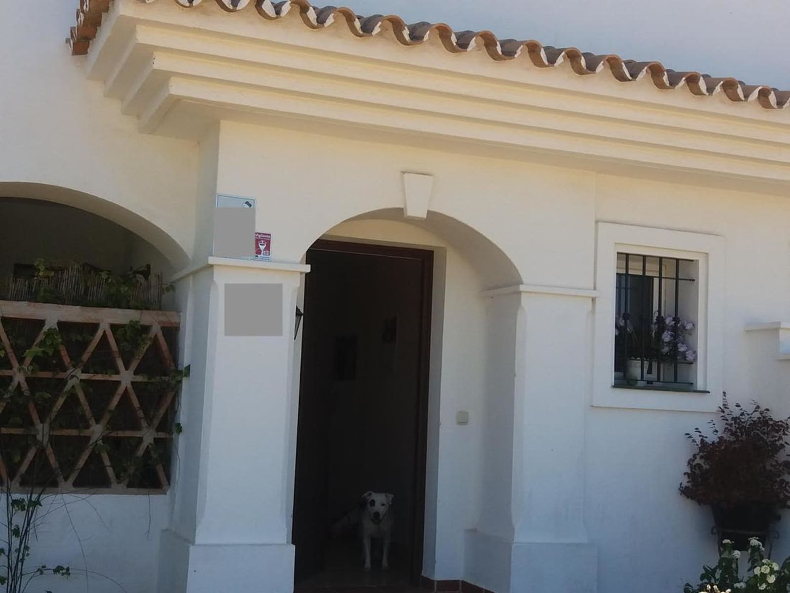 Housesitting assignment in Sitio de Calahonda, Spain
