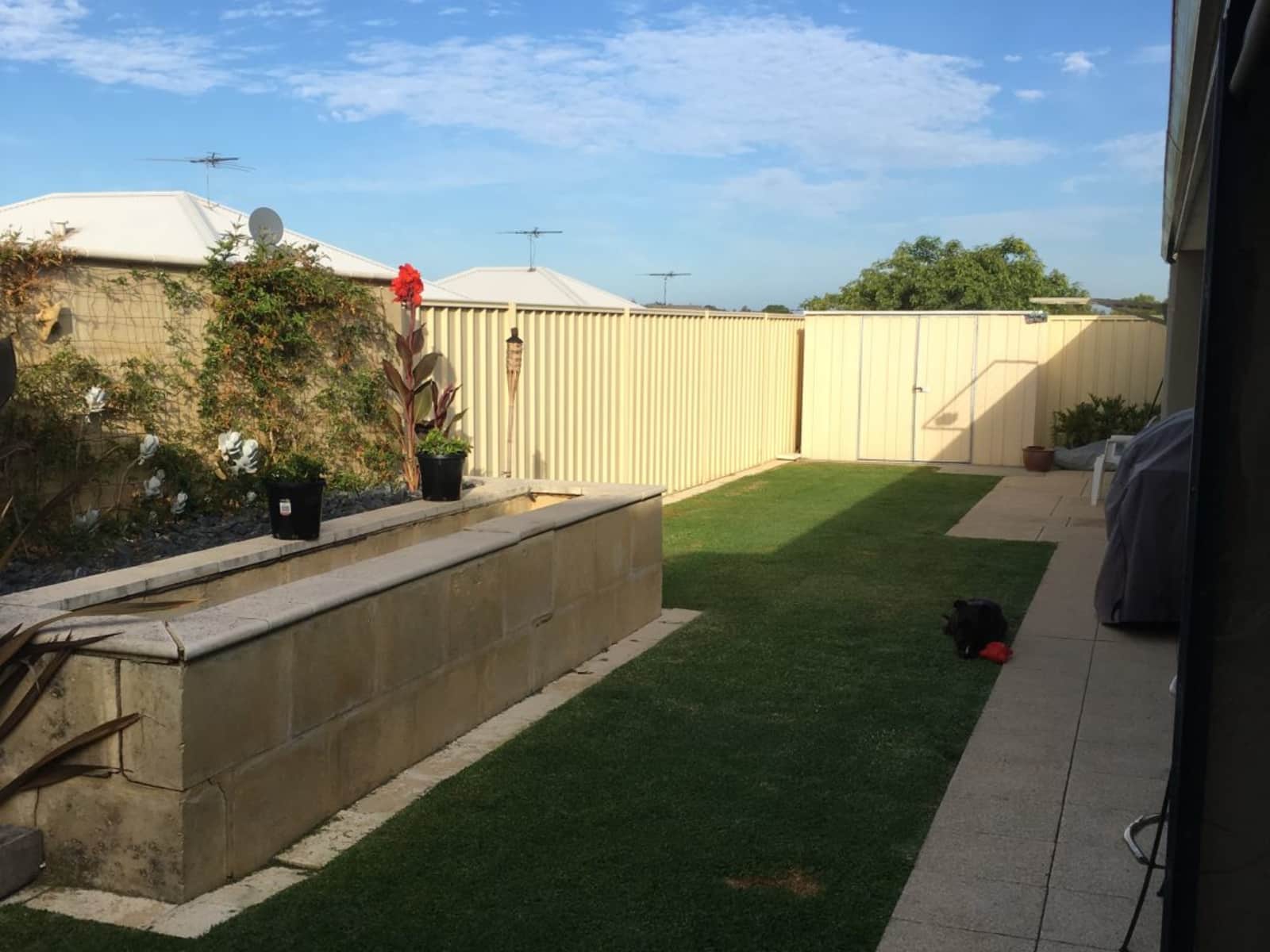 Housesitting assignment in Baldivis, Western Australia, Australia