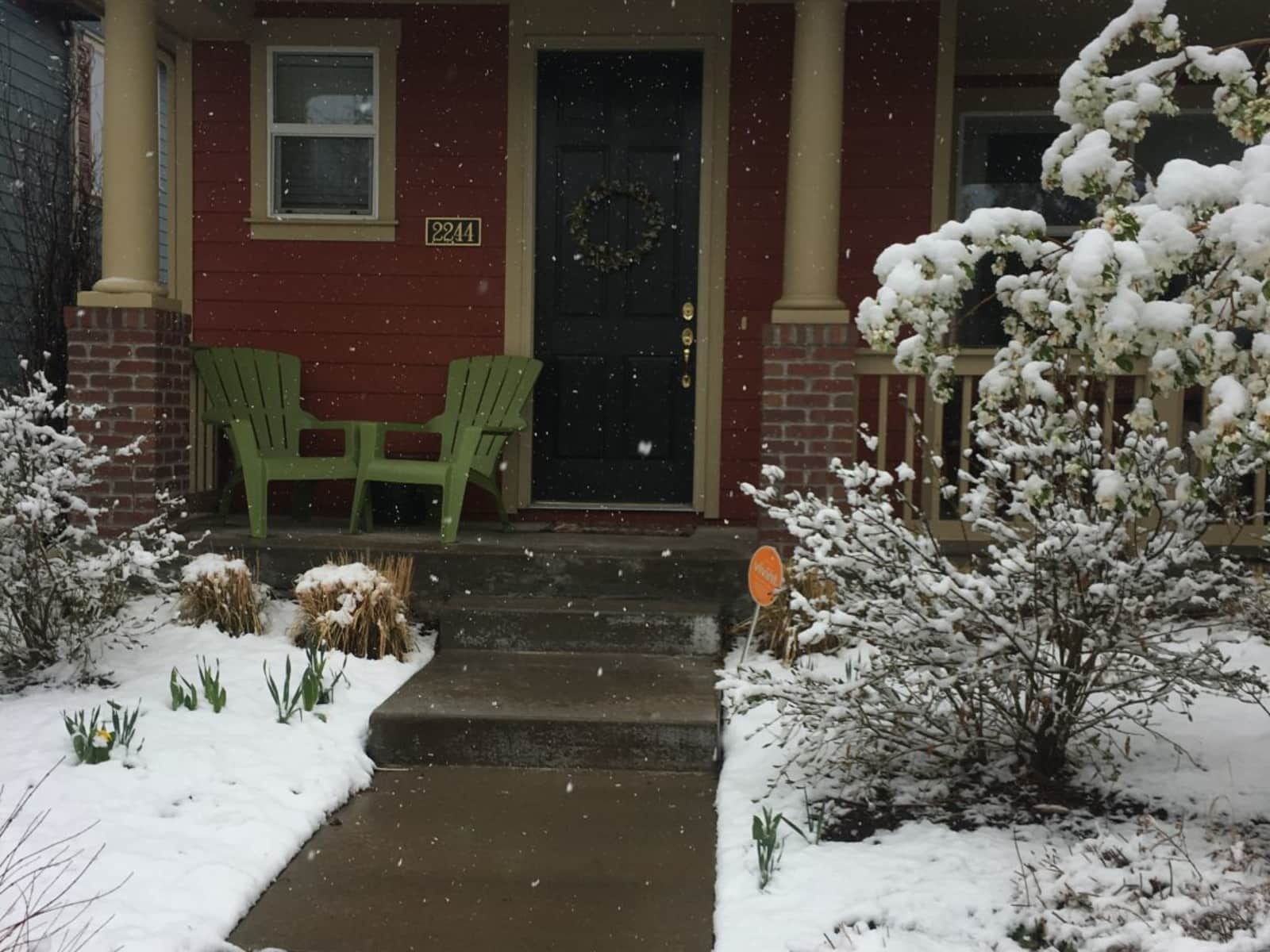 Housesitting assignment in Denver, Colorado, United States