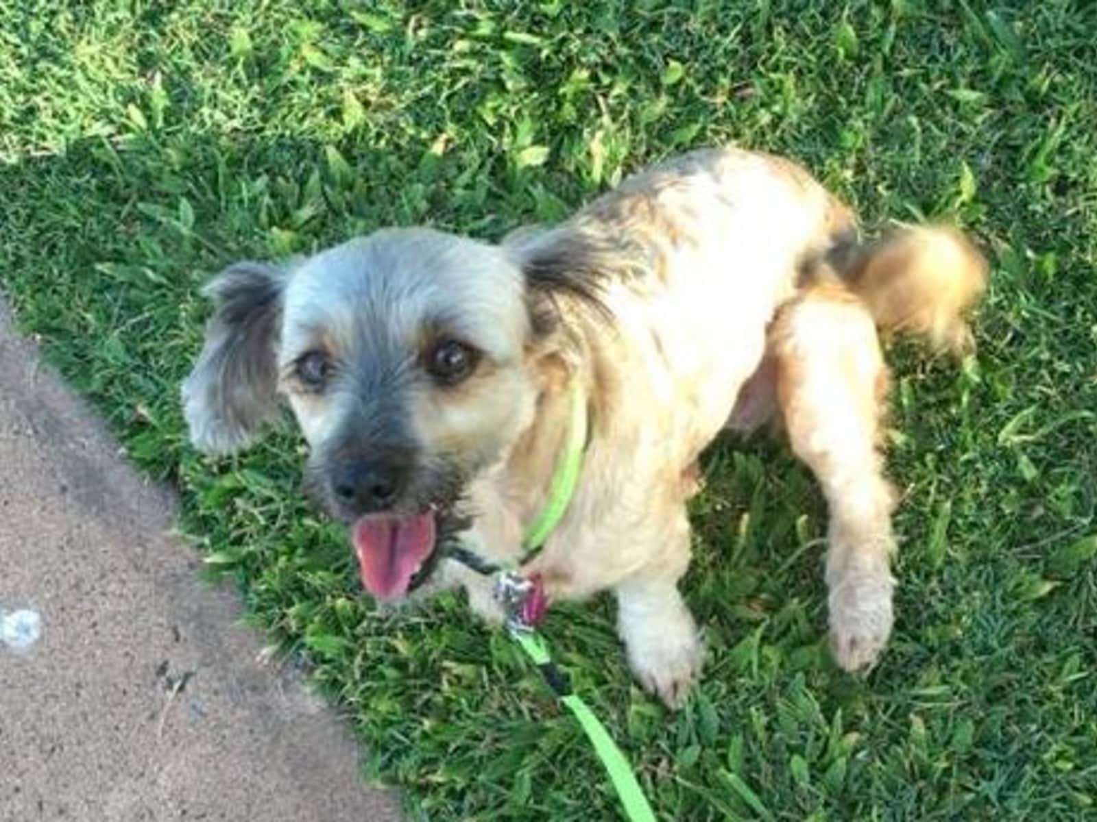 Deenita from Bundaberg, Queensland, Australia