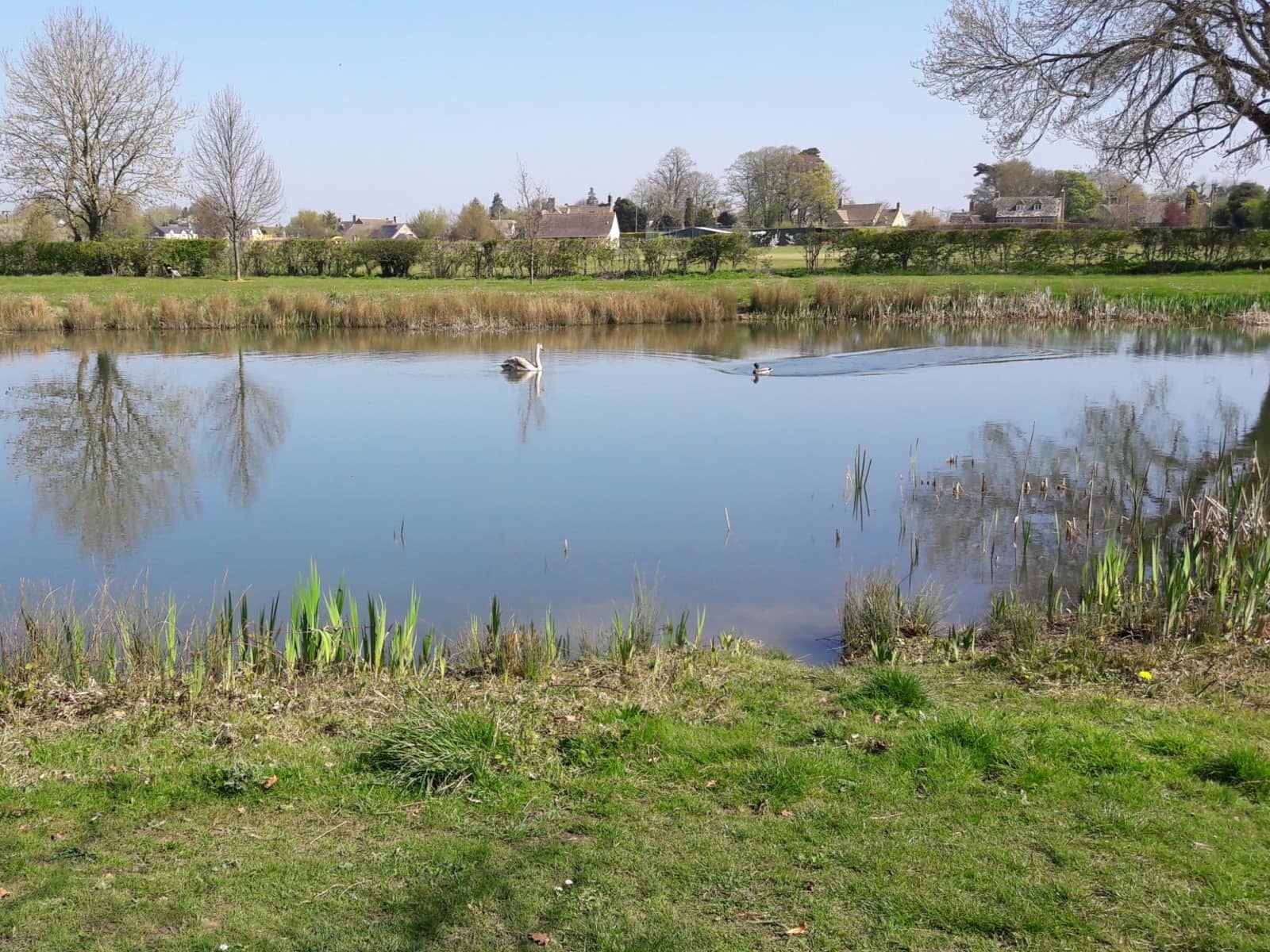 Housesitting assignment in Cirencester, United Kingdom