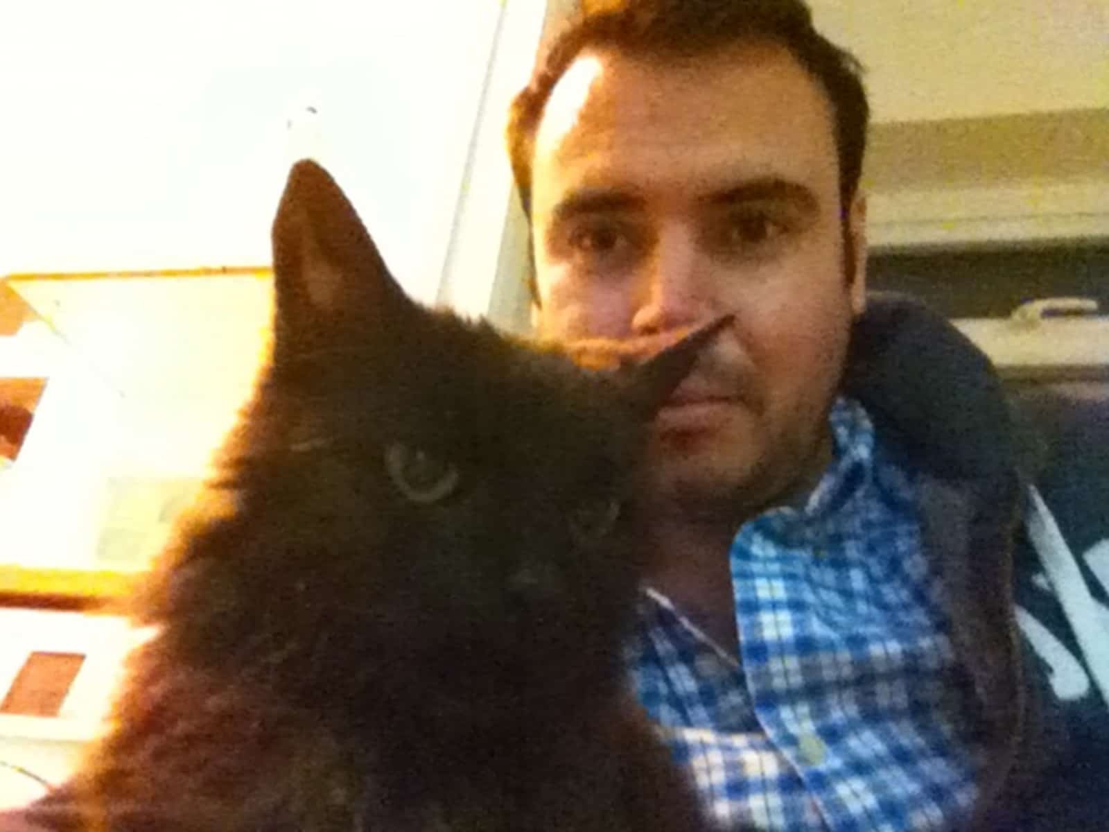 Ross from Hove, United Kingdom