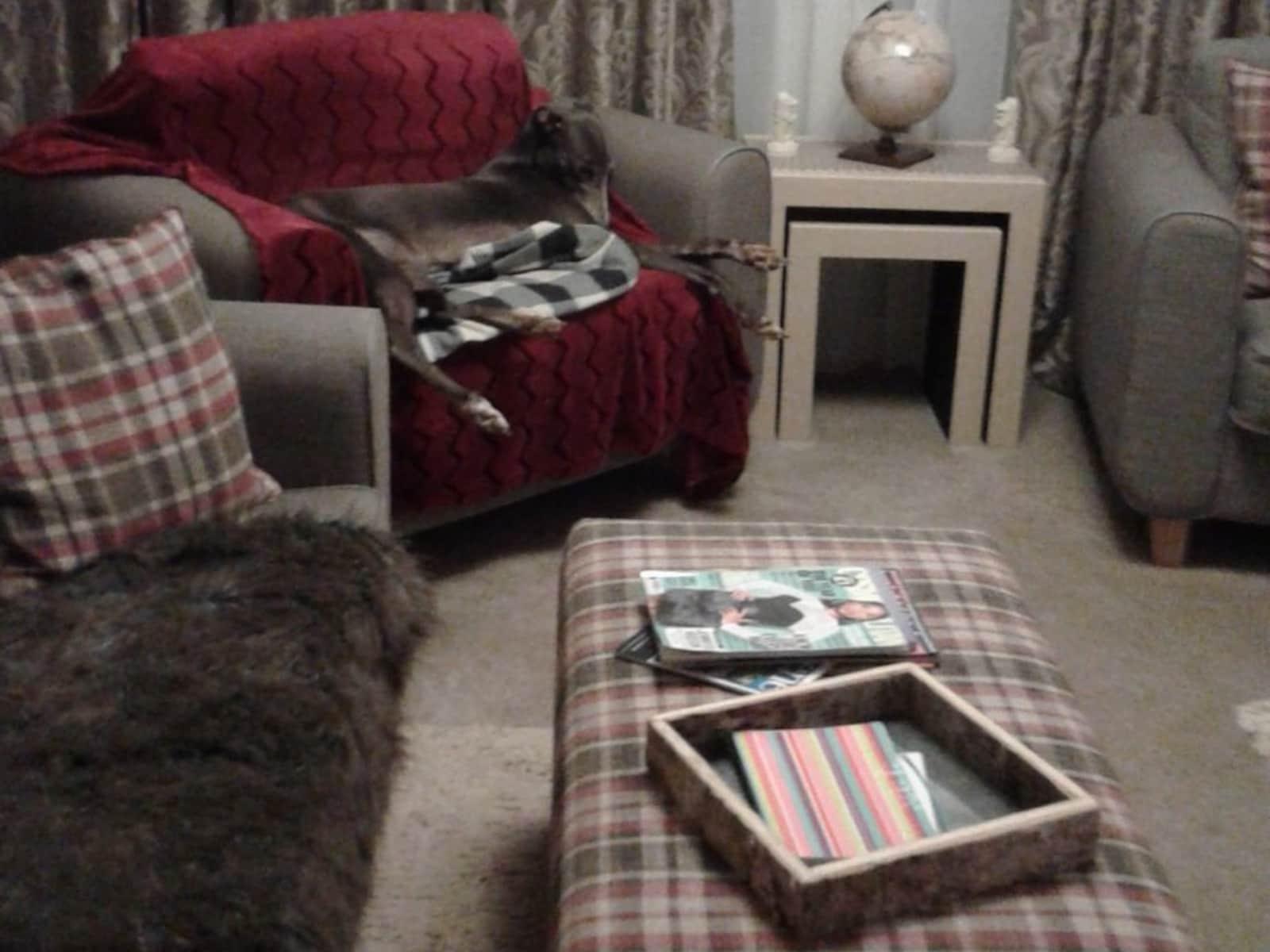 Housesitting assignment in Tallington, United Kingdom