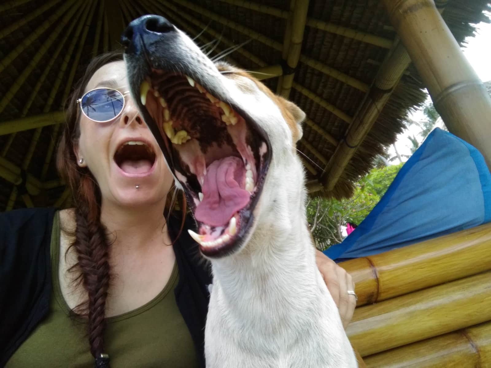Lindsay & Matt from Chiang Mai, Thailand