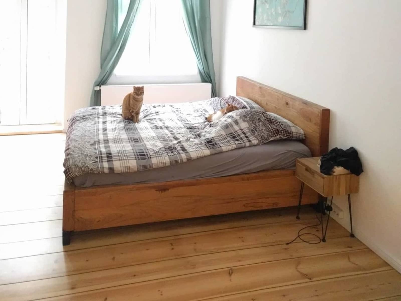 Housesitting assignment in Berlin, Germany