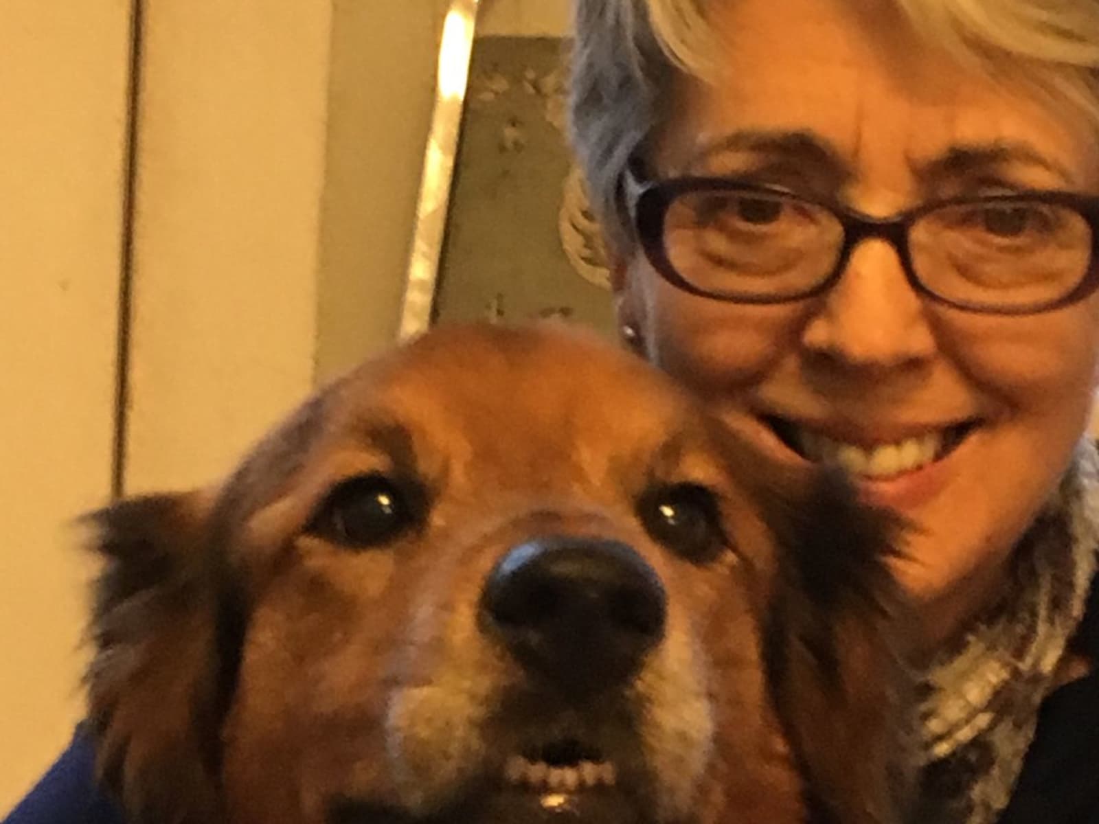 Ellen from Halifax, Nova Scotia, Canada